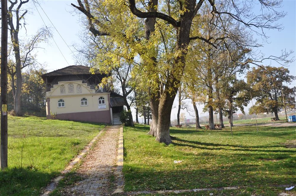 Why Is This Tomb in Düzce Called “Koru Dede”? A Belief That Lives On in Çaybükü