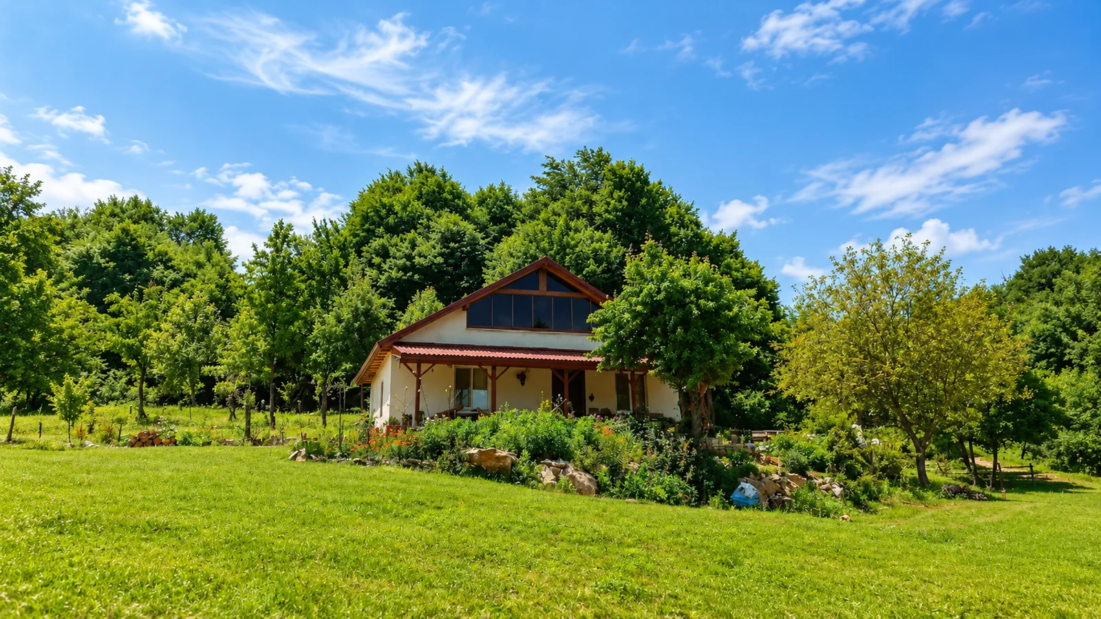 Menekşe Plateau: Have You Discovered This Green Retreat in Kocaeli’s Forests?