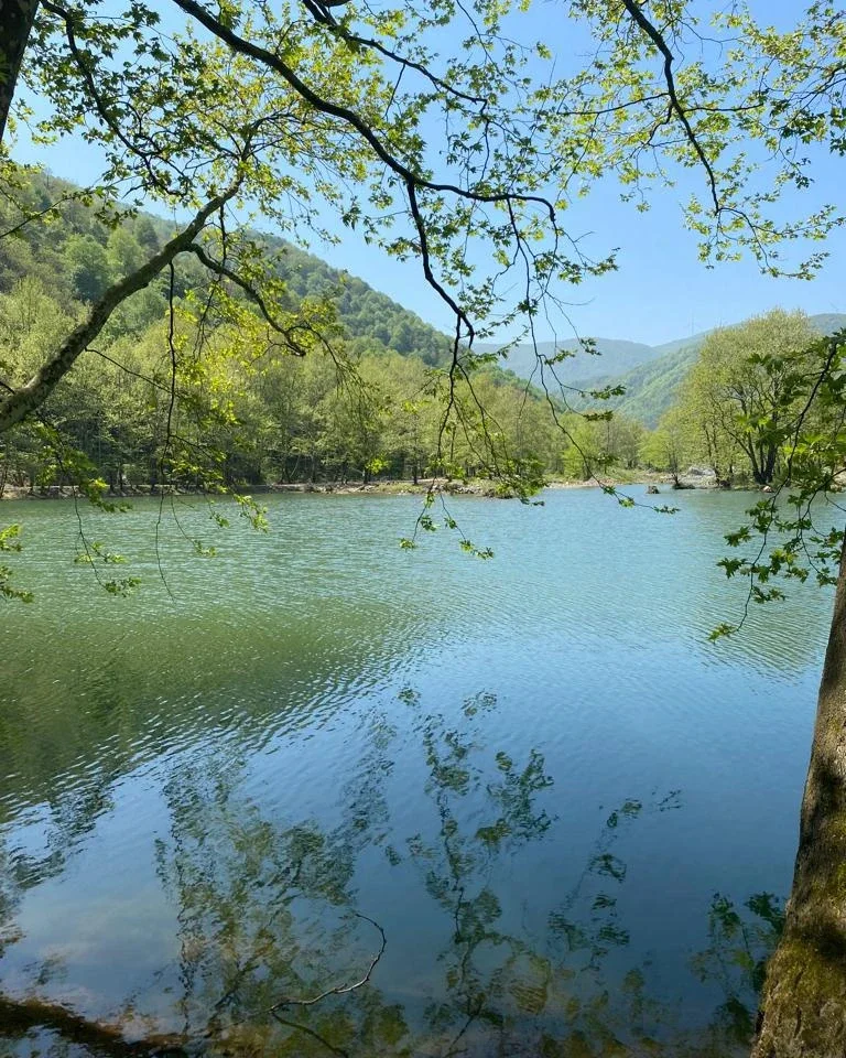 Delmece Highland and Dipsiz Lake: Yalova’s Natural Beauty Hidden Among the Forests