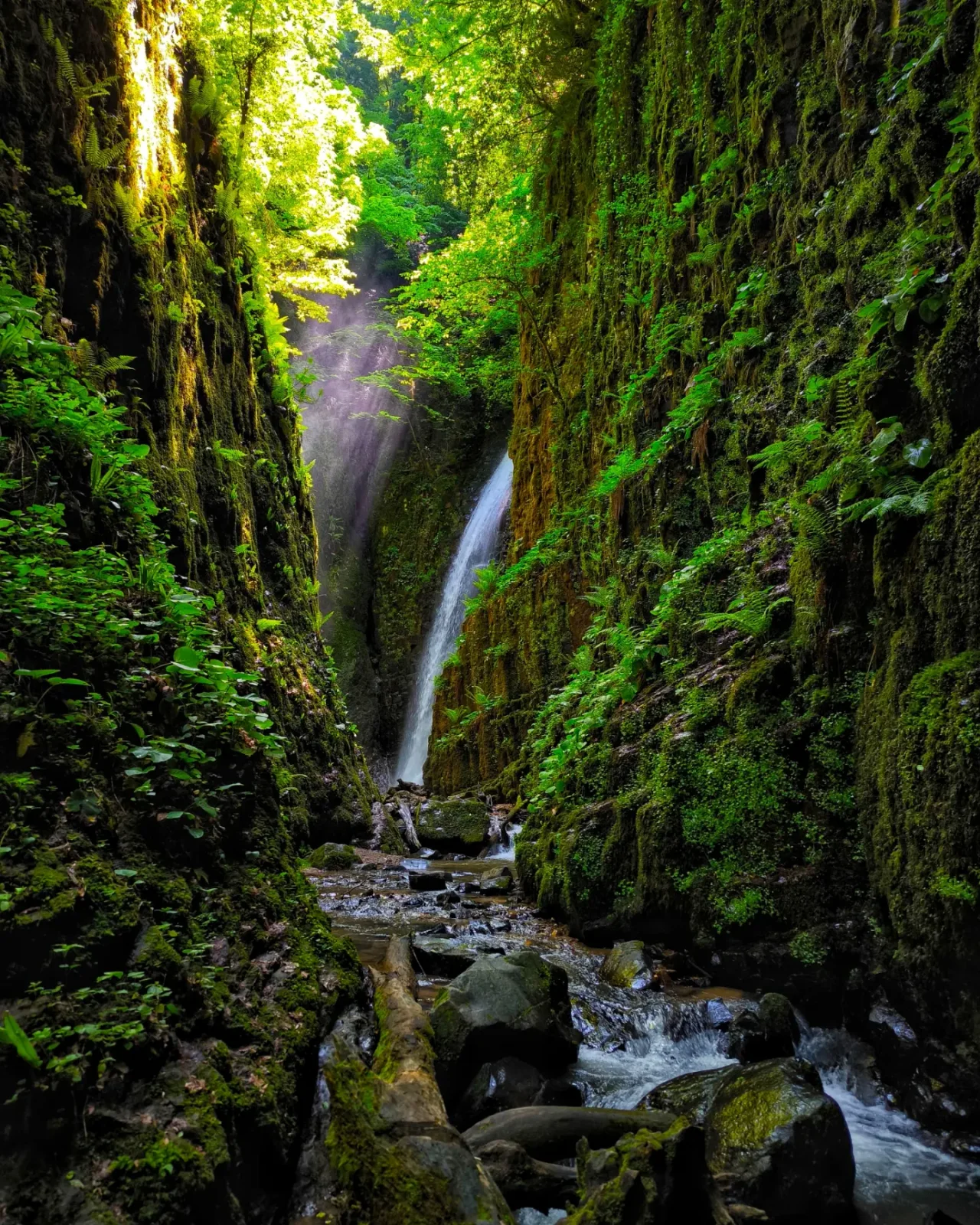 Nüzhetiye Waterfall: Follow the Water into One of Kocaeli’s Beautiful Forest Walks