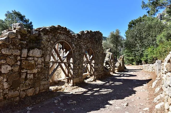 Olympos Ancient City: The Lost Lycian Port the Forest Took Back
