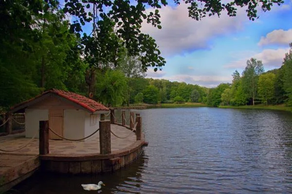 Atatürk Arboretum (Sarıyer), Istanbul -Discover a Different Side of Istanbul Among the Trees