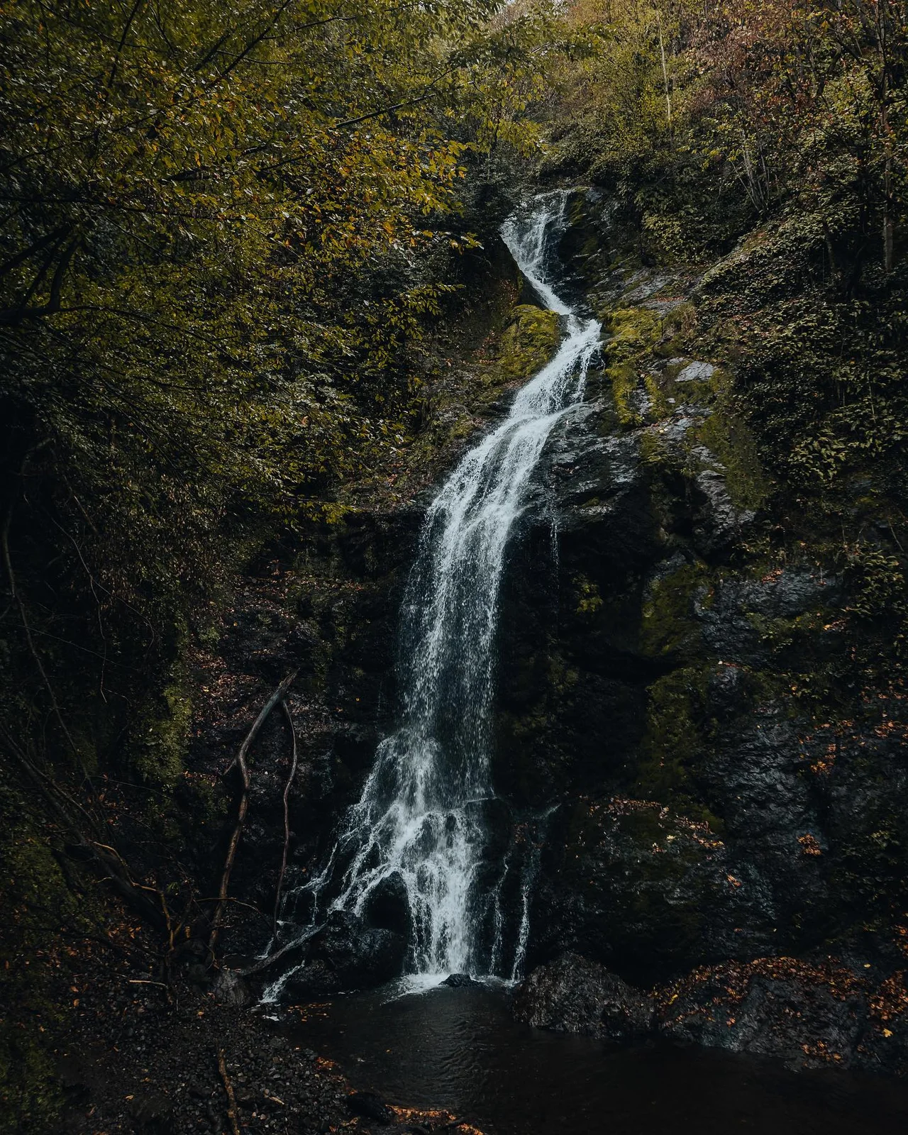 Aydınpınar Waterfalls Nature Park: Follow Your Curiosity Through the Forest