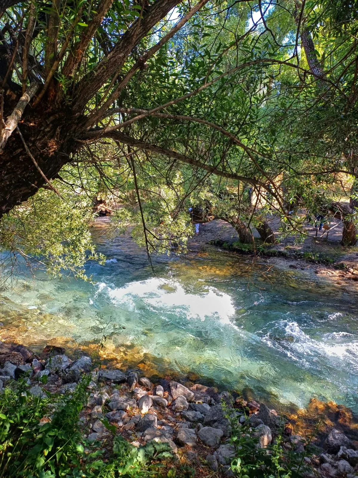 Munzur Springs, Tunceli: Where Cold Mountain Water Meets a Sacred Story