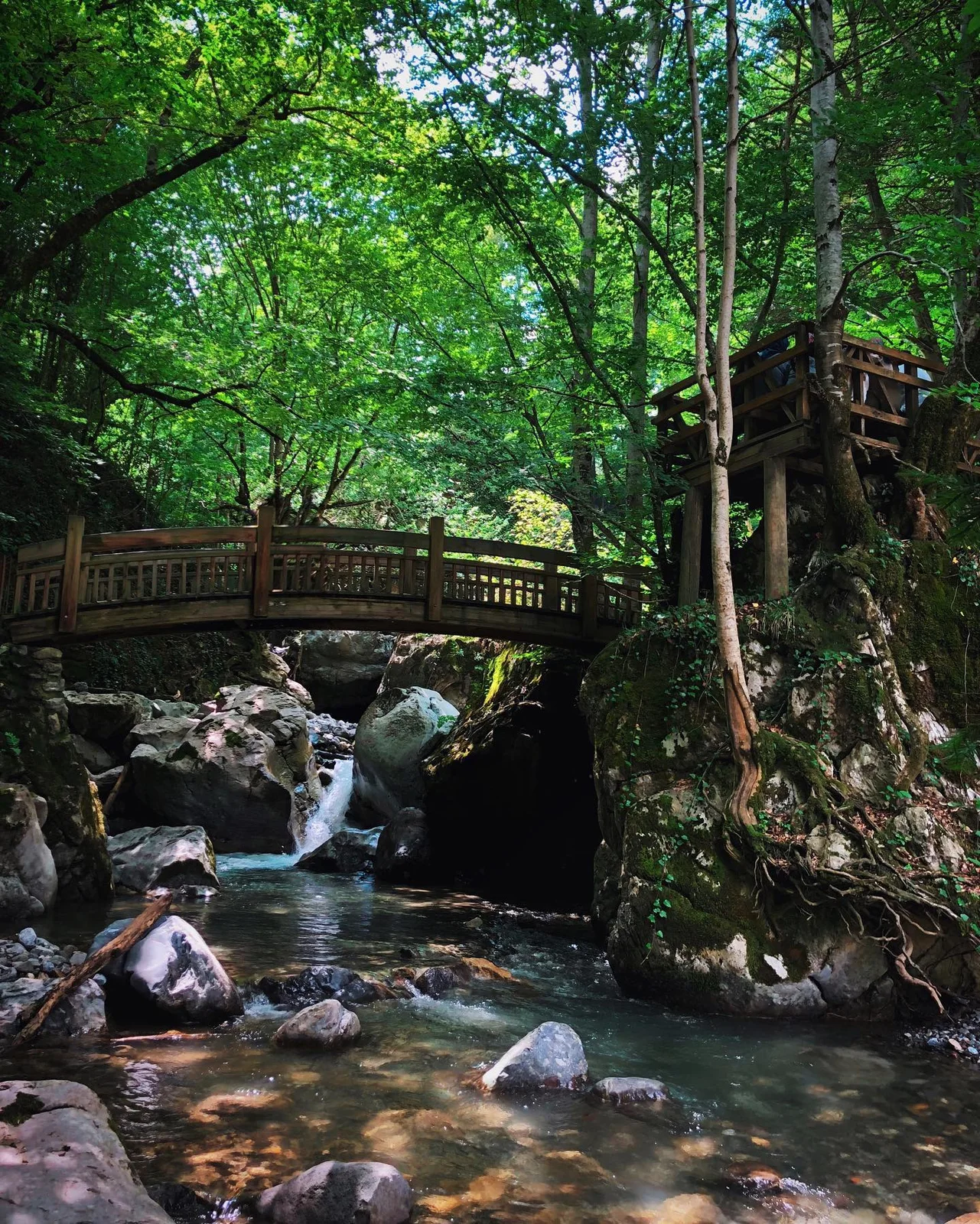 Samandere Waterfall and Natural Monument: A “Witch’s Cauldron” in the Forests of Düzce