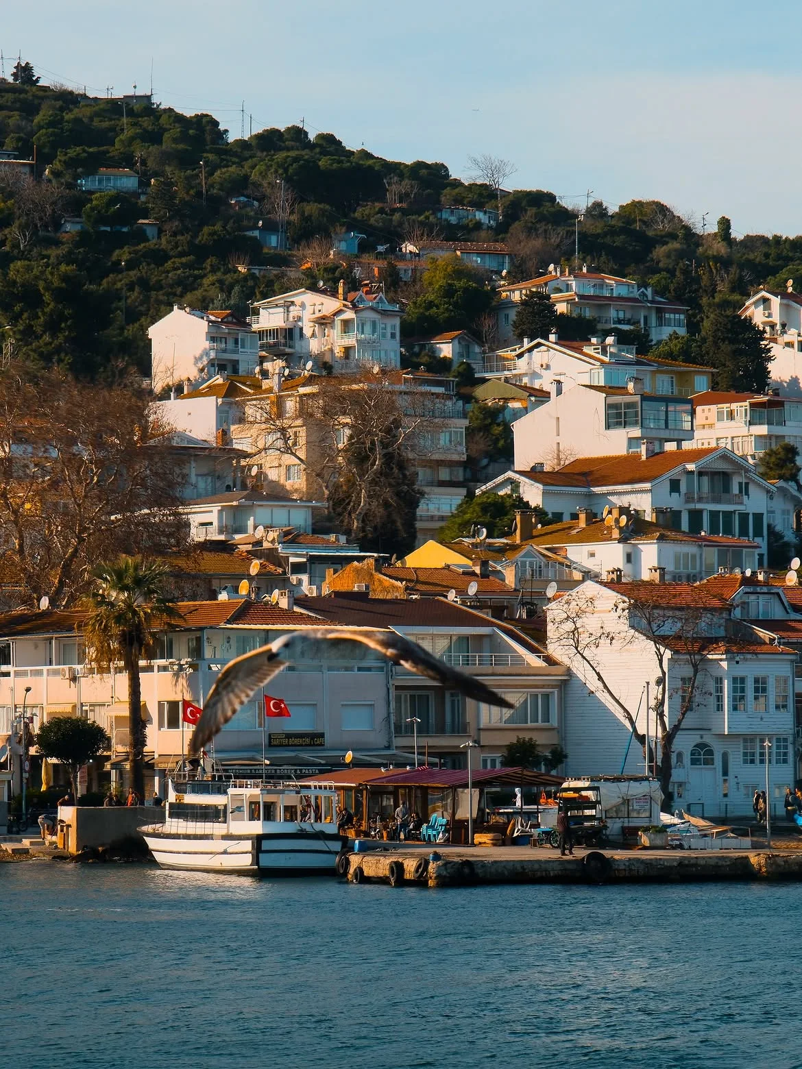 Burgazada and Kınalıada’s Hidden Coves: A Quieter Side of the Princes’ Islands