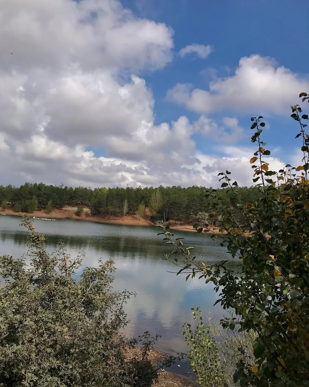 Yozgat Çamlığı National Park: A Walk Beneath Pines Older Than Your Country