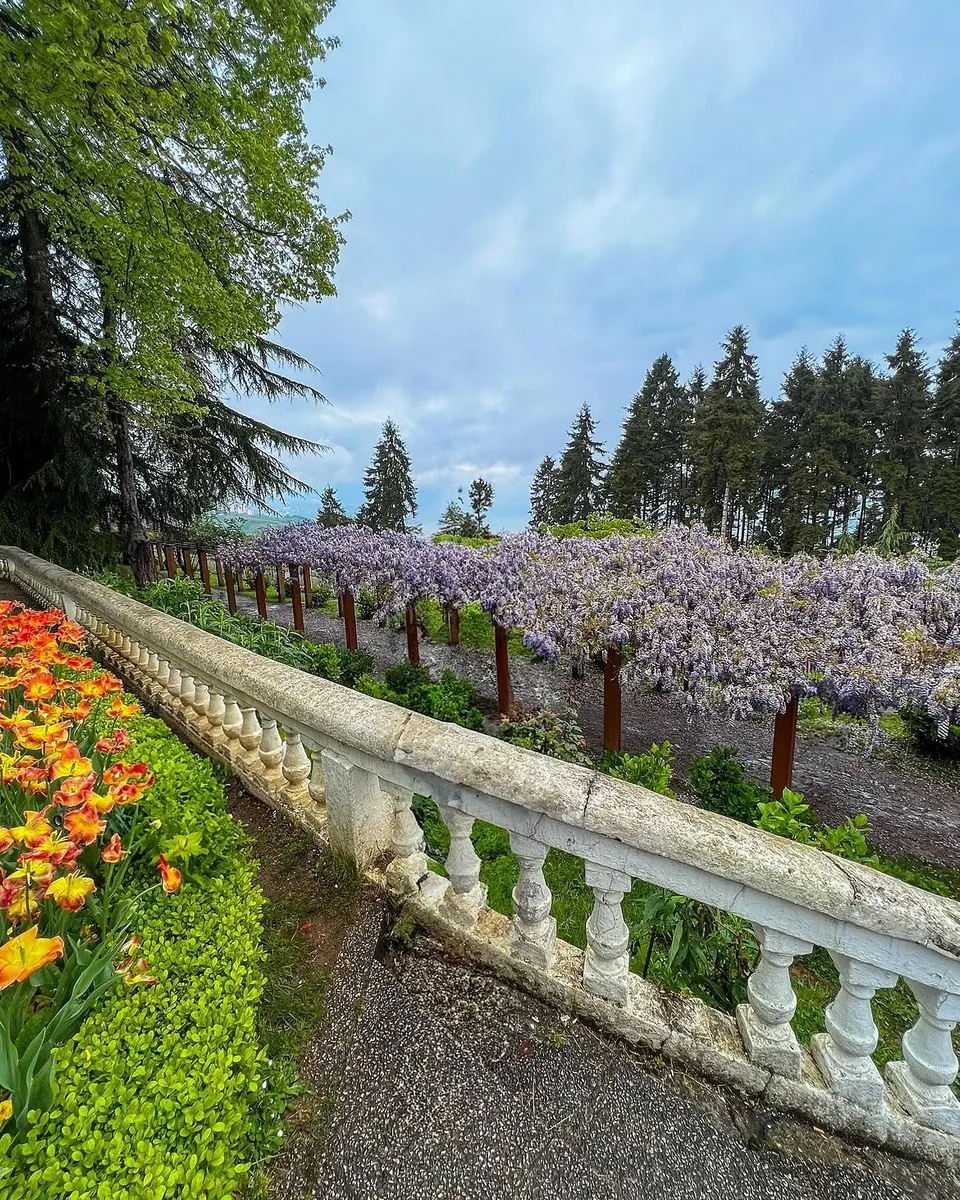 Trabzon Atatürk Köşkü — fotoğraf 2