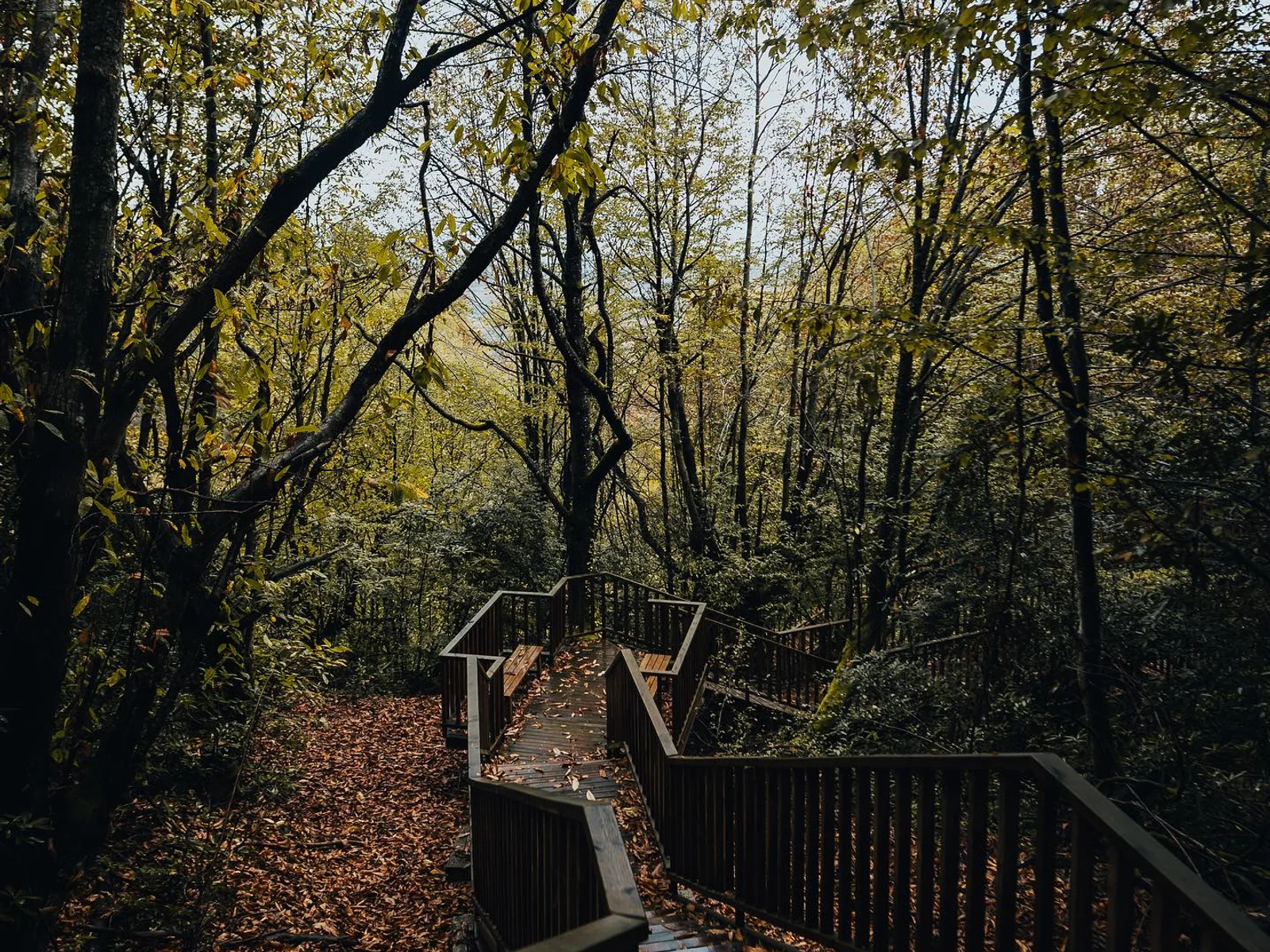 Aydınpınar Şelaleleri Tabiat Parkı in Düzce