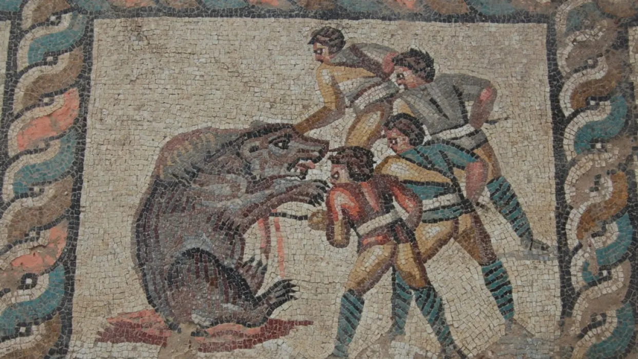 Kadioglu Roman Mosaics (Çaycuma) -  Kadioglu Mosaics Archaeological Site — photo 4