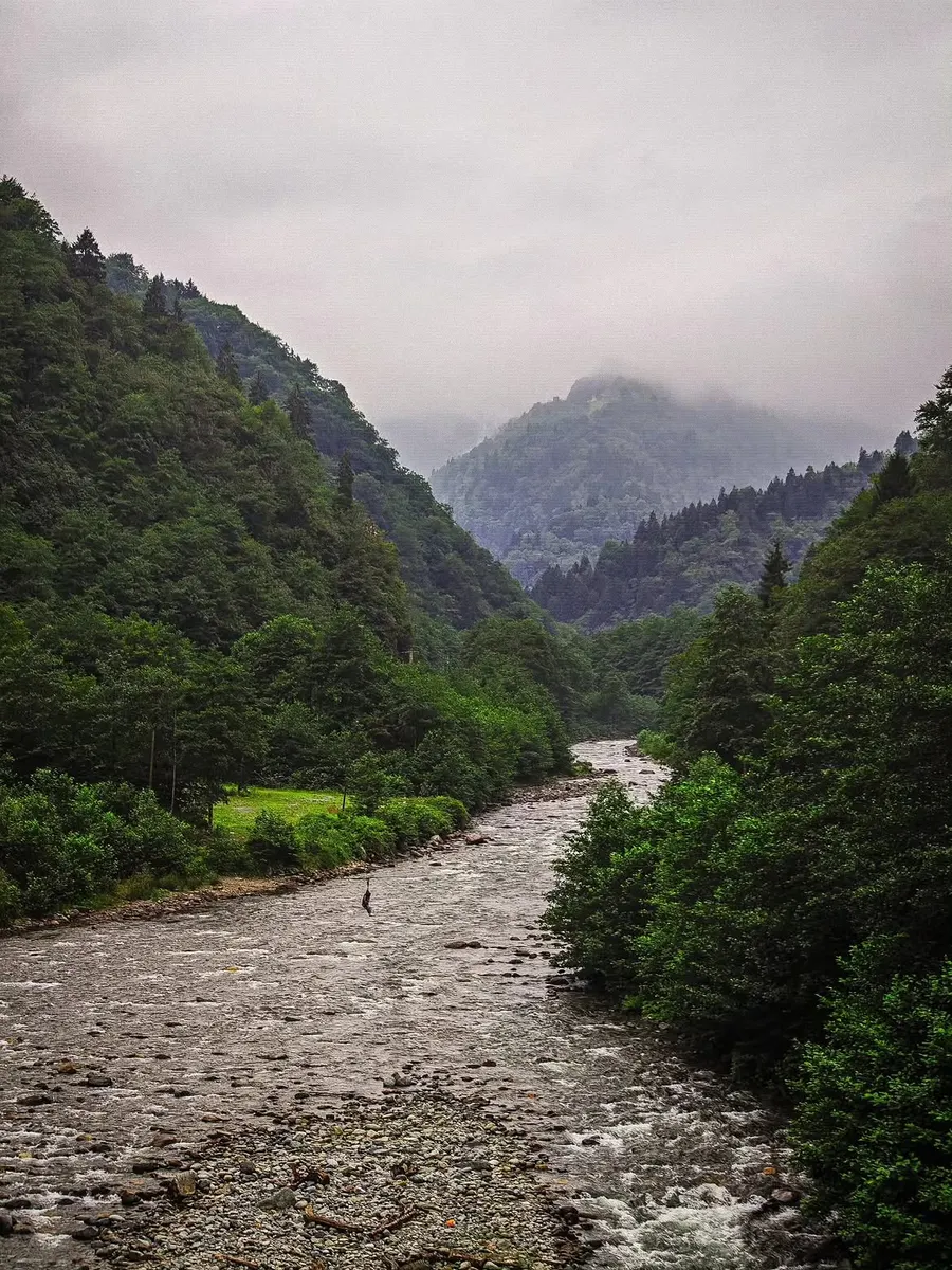 Ayder Plateau (Ayder Yaylası) — photo 6