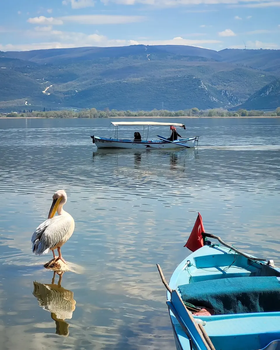 Gölyazı (Apolyont)  Kopyala — photo 3