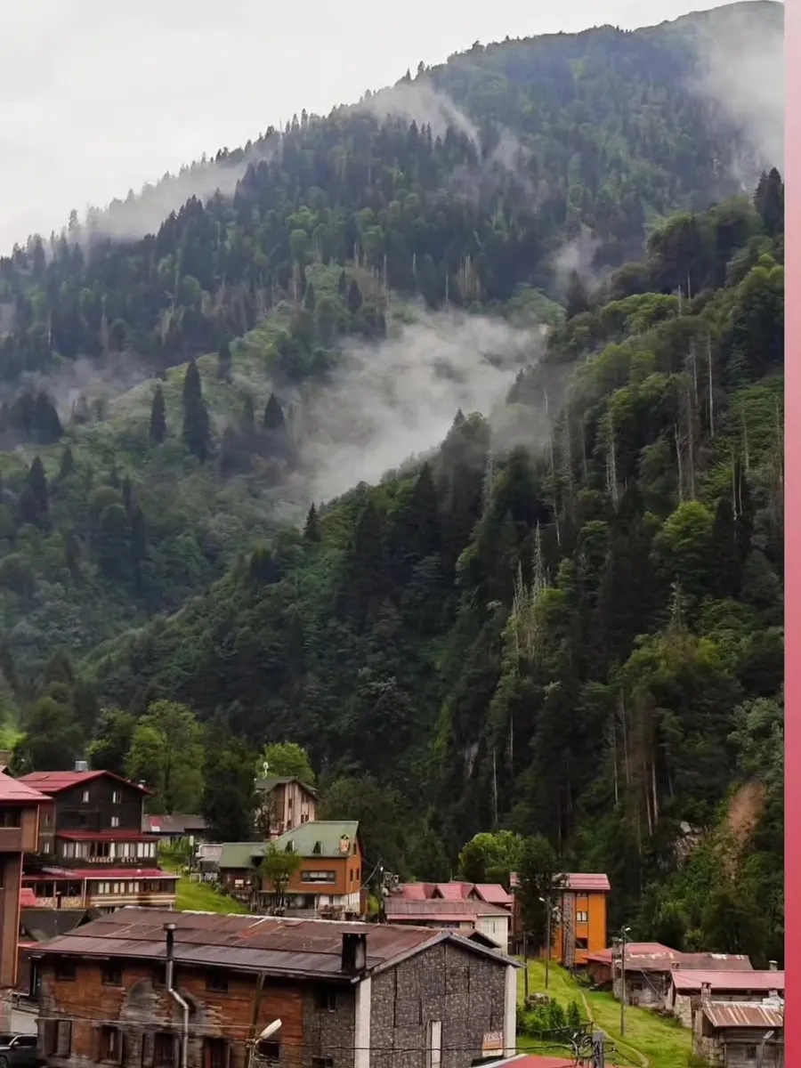 Ayder Plateau (Ayder Yaylası) — photo 8