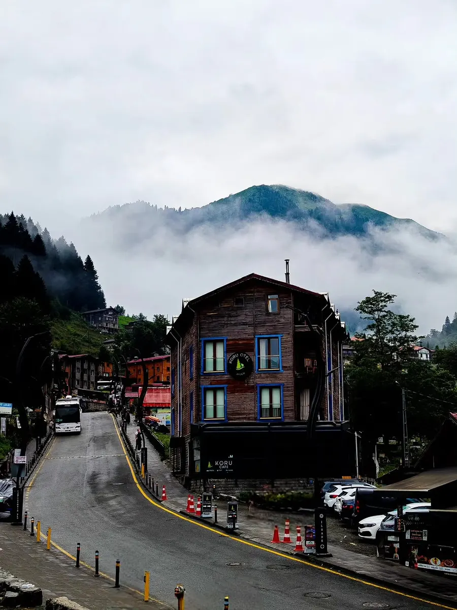 Ayder Plateau (Ayder Yaylası) — photo 7