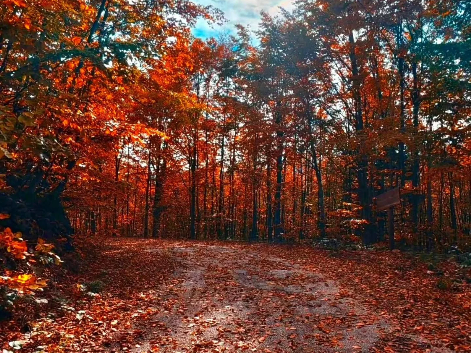 Kuzuyayla Nature Park in Kocaeli