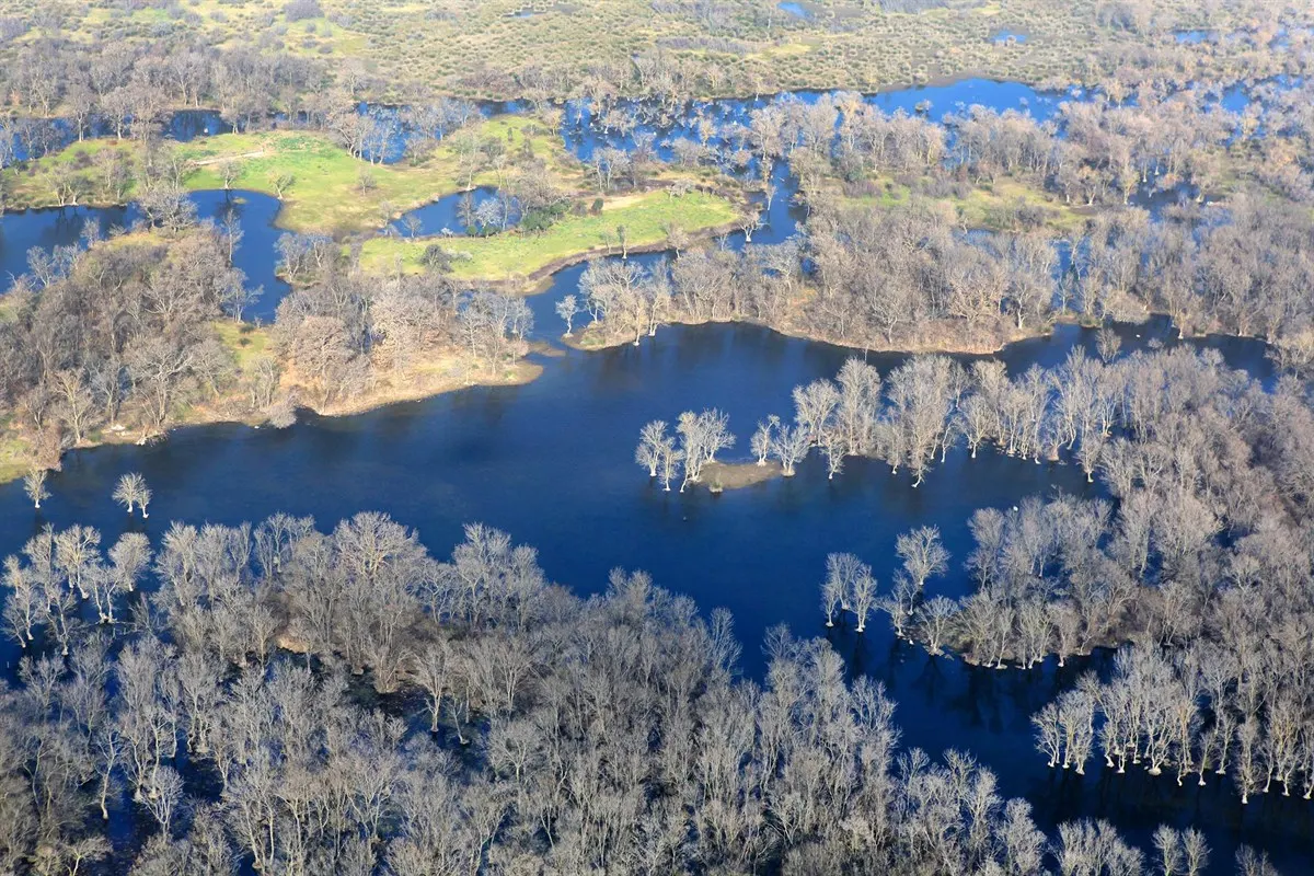 Karacabey Floodplain Forests — photo 2