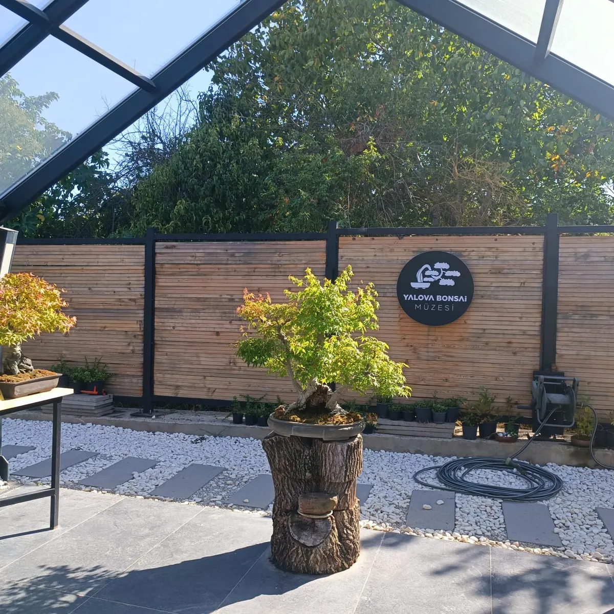 Yalova Bonsai Museum in Yalova