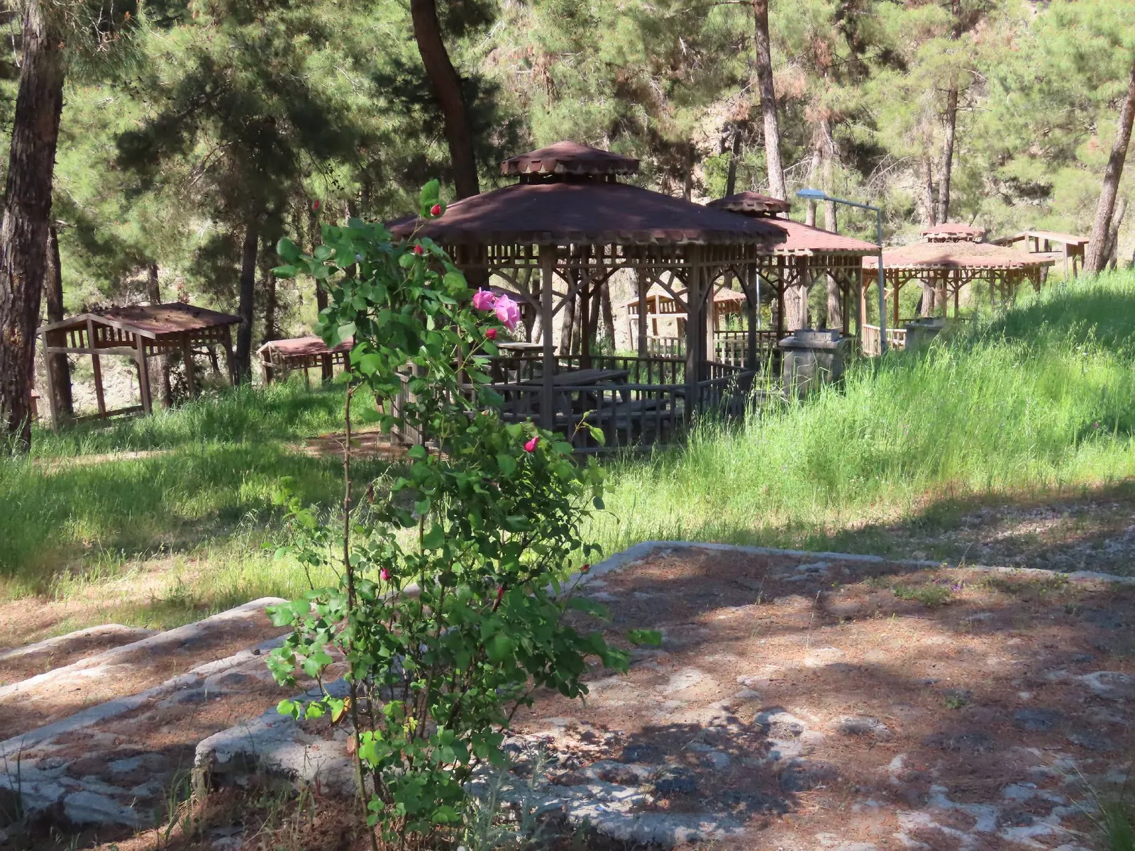 Hisar Çamlığı Nature Park in Kilis