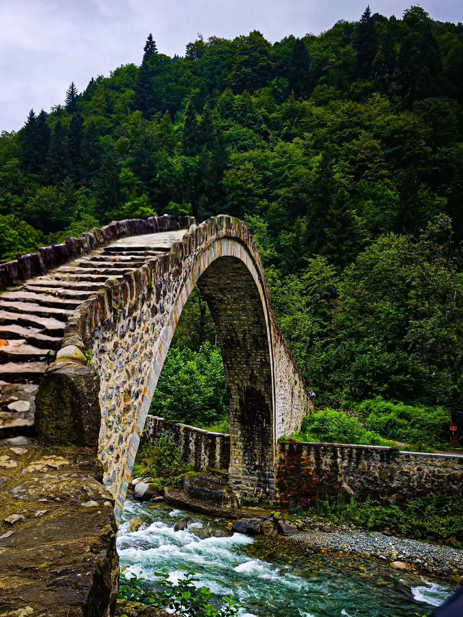 Ayder Plateau (Ayder Yaylası) — photo 3