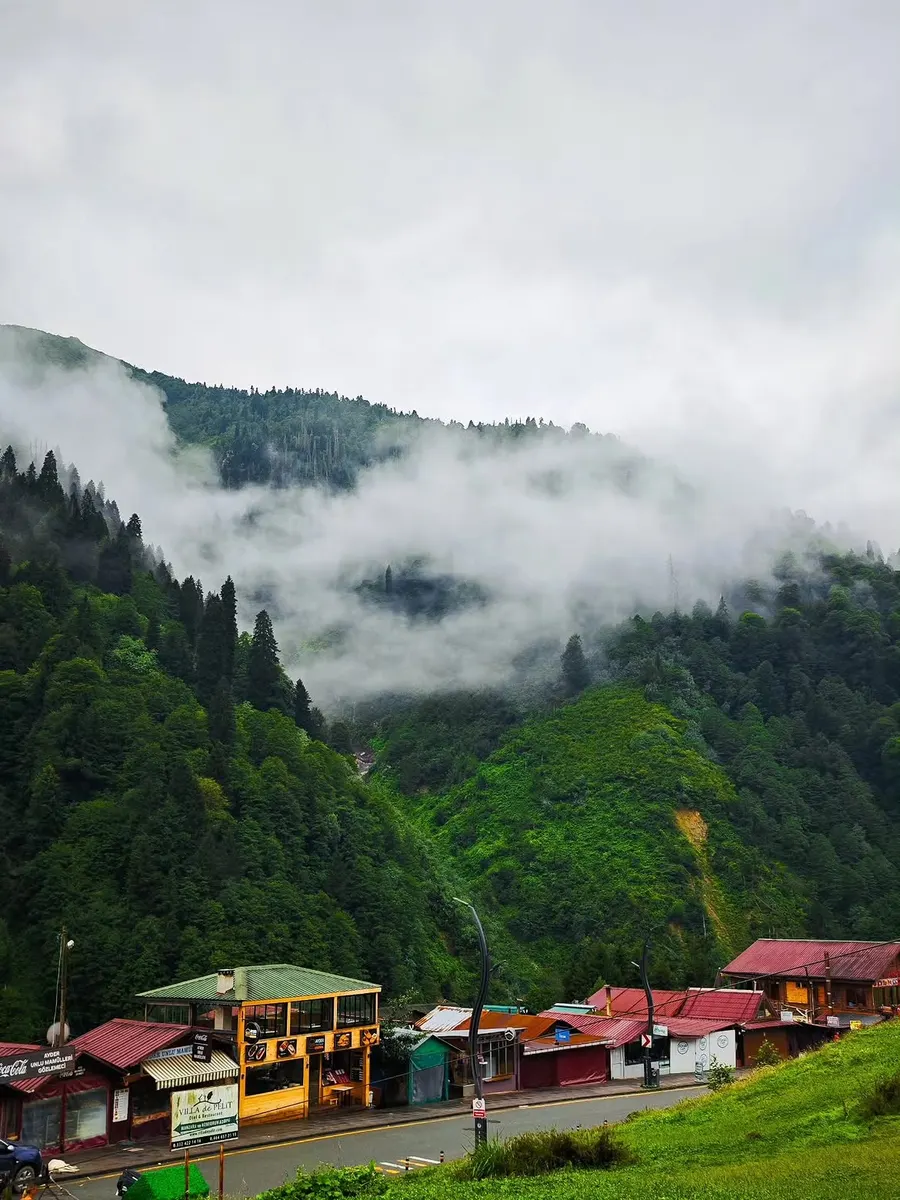 Ayder Plateau (Ayder Yaylası) — photo 9