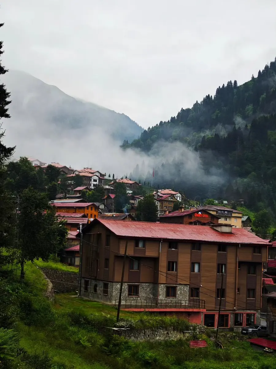 Ayder Plateau (Ayder Yaylası) — photo 2