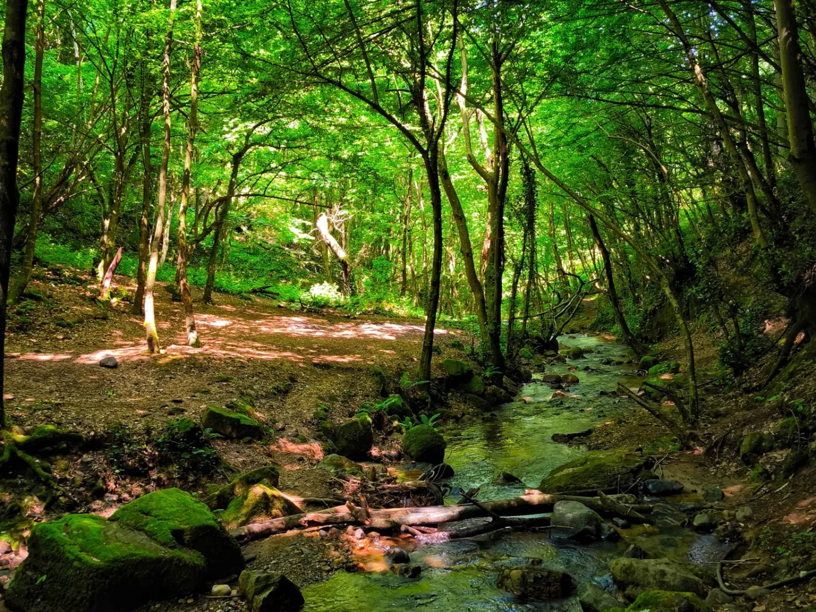 Nüzhetiye Waterfall in Kocaeli