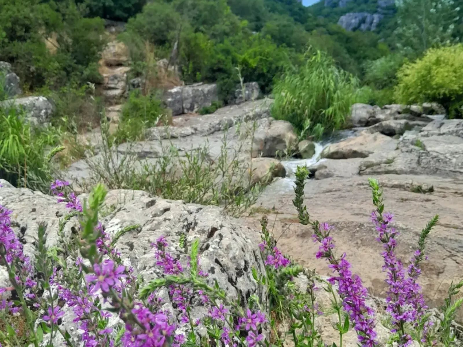 Ballıkayalar Nature Park and Valley in Kocaeli